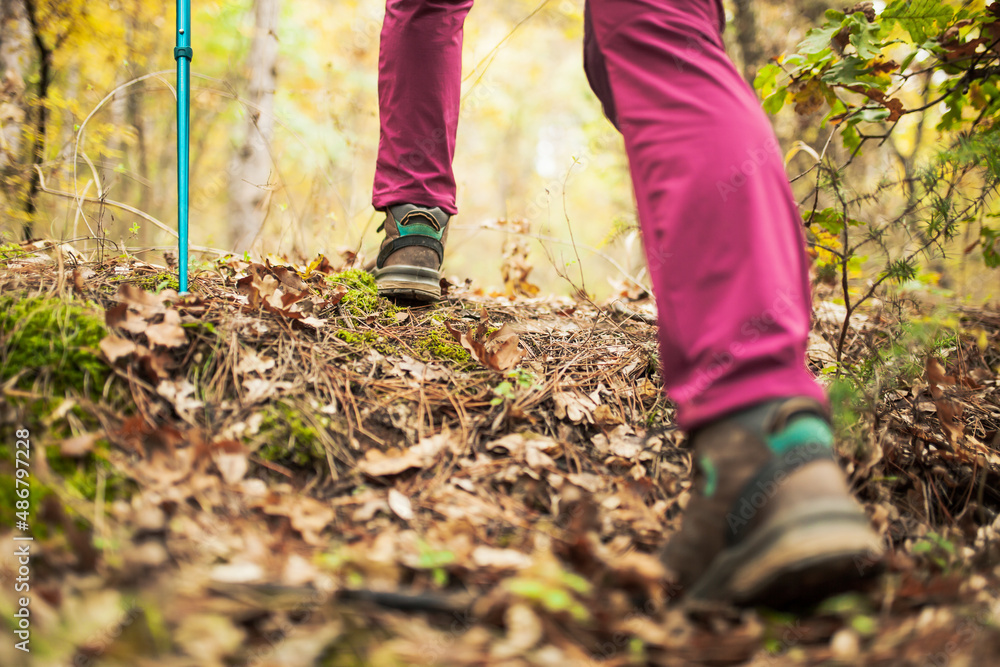 Hiking girl in a mountain. Low angle view of generic sports shoe and legs in a forest. Healthy fitness lifestyle outdoors. Hiking girl in a mountain. Low angle view of generic sports shoe and legs in a forest. Healthy fitness lifestyle outdoors.