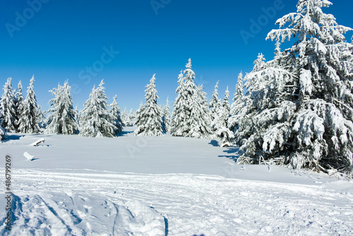 Wallpaper Mural Winter landscape of Vitosha Mountain, Bulgaria Torontodigital.ca