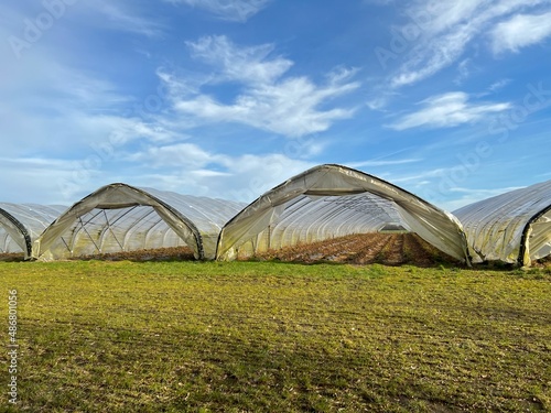 Folientunnel Gewächshaus in der Landwirtschaft 