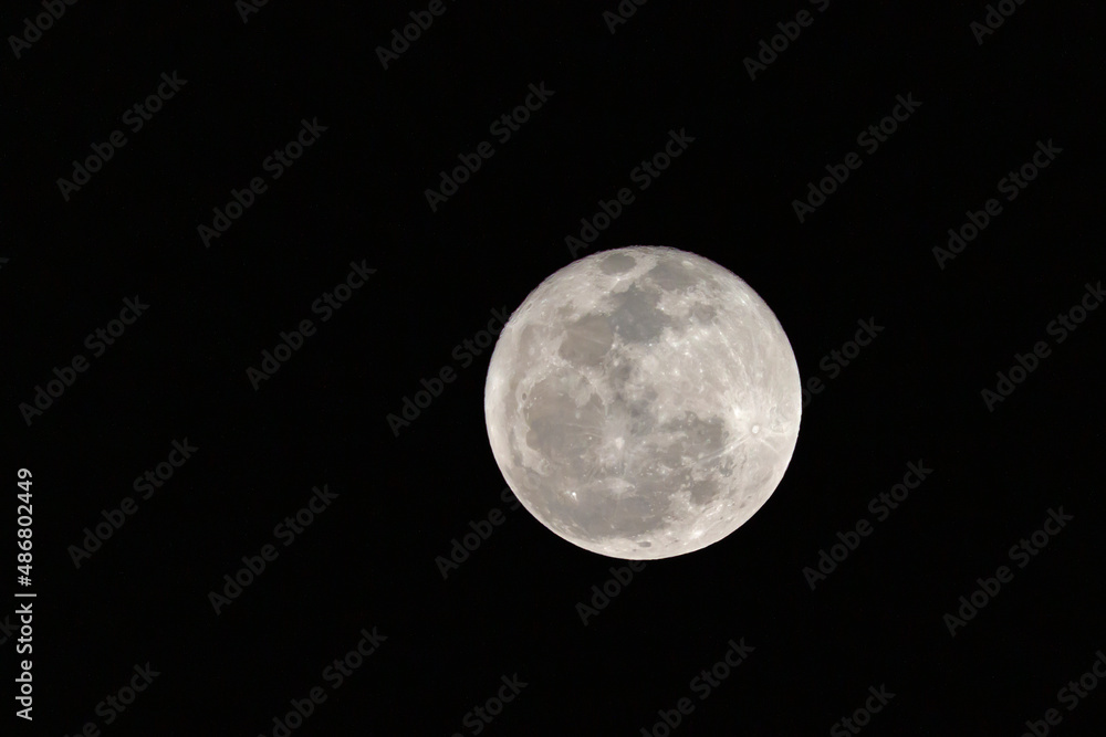 Obraz premium full moon in the night sky