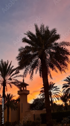 A palm tree and a mosque in Saudi Arabia © manar