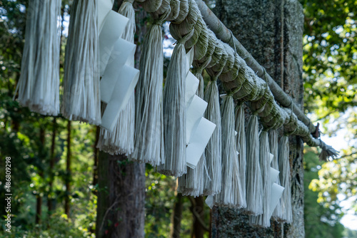 Canvas Print Shinto straw festoon - shimenawa - and zigzag-shaped paper streamer - shide - of the gate of shrine in Fukuoka prefecture, Japan