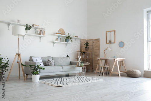 Stylish grey sofa with houseplants in modern interior of living room © Pixel-Shot