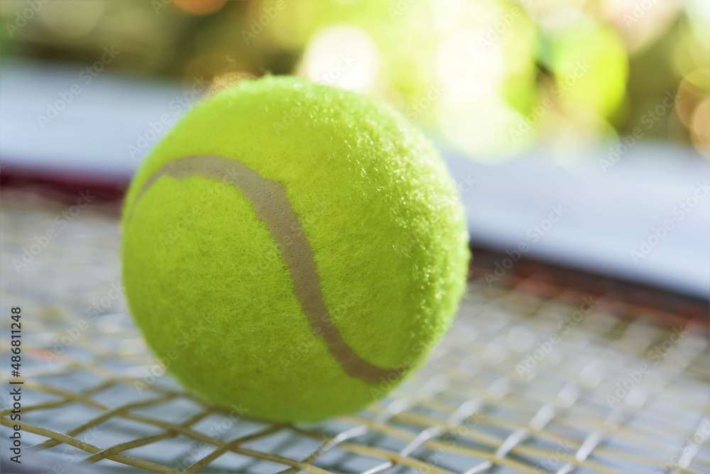 tennis ball on the court