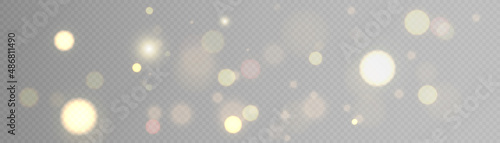 Light effect with lots of glittery glare particles shining on a transparent background.