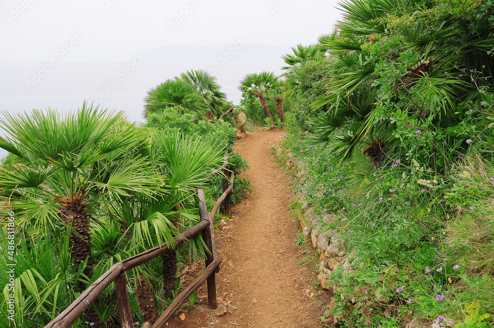Path for walking. Natural reserve Zingaro. Sicily.