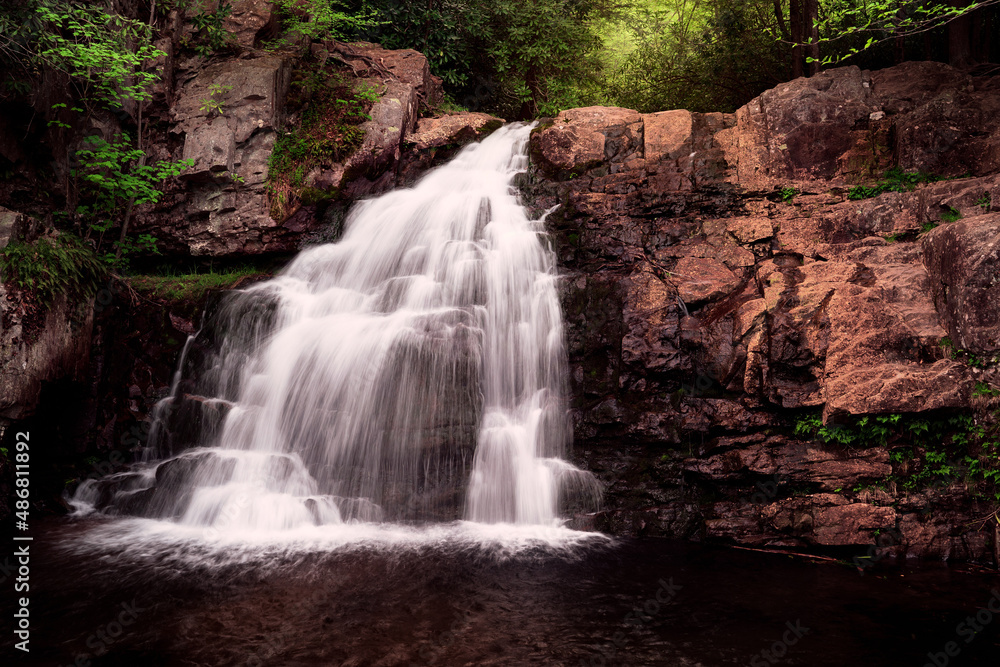 Fototapeta premium waterfall in the forest