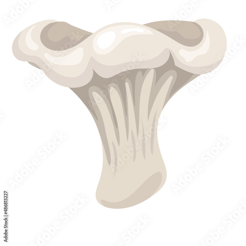 Oyster flat icon