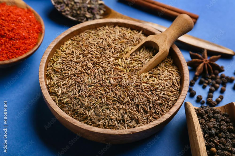 Bowl and scoop with cumin on color background, closeup Bowl and scoop with cumin on color background, closeup