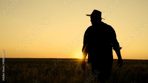 Silhouette Farmer walking with tablet in wheat field at sunset. Farmer works with digital tablet examines harvest of wheat in wheat field. Senior farmer analyzes grain harvest. Agricultural business