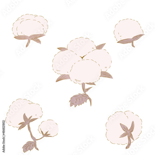 手書き風のコットン・綿のイラスト_茶色