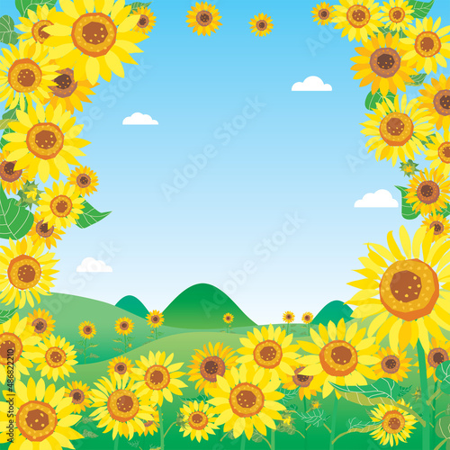 夏の向日葵畑の風景のイラスト