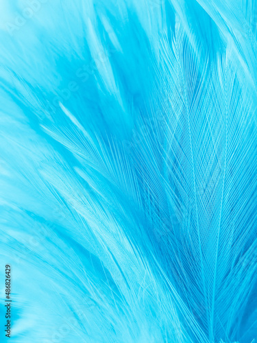 Beautiful abstract blue feathers on white background, white feather texture and blue background, feather wallpaper, blue texture banners, love theme, valentines day , gray gradient