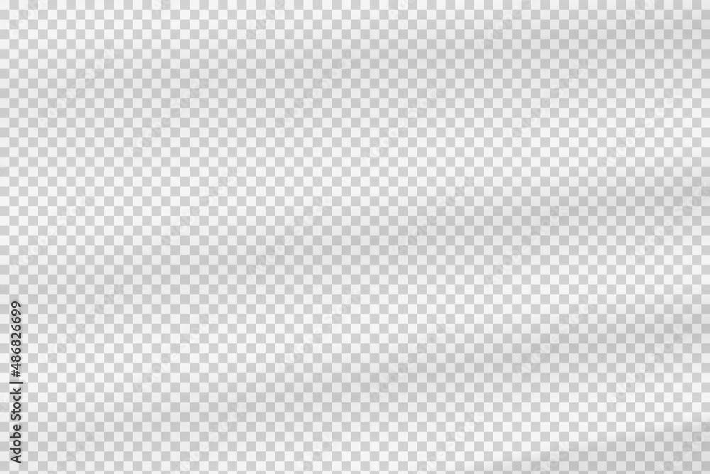 Window shadow vector overlay on transparent background. Natural scene of realistic soft lighting Window shadow vector overlay on transparent background. Natural scene of realistic soft lighting