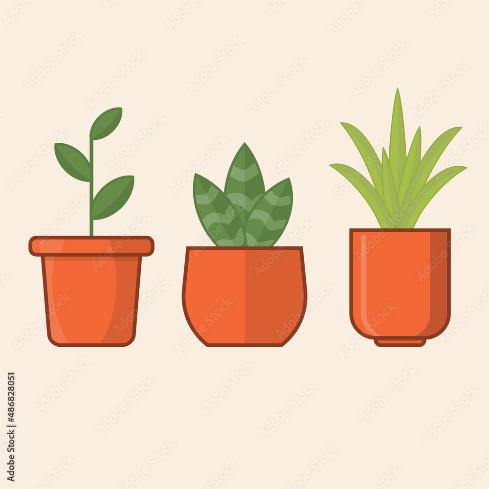 Fototapeta premium 3 plants in pots, vector icon set illustration, flat design