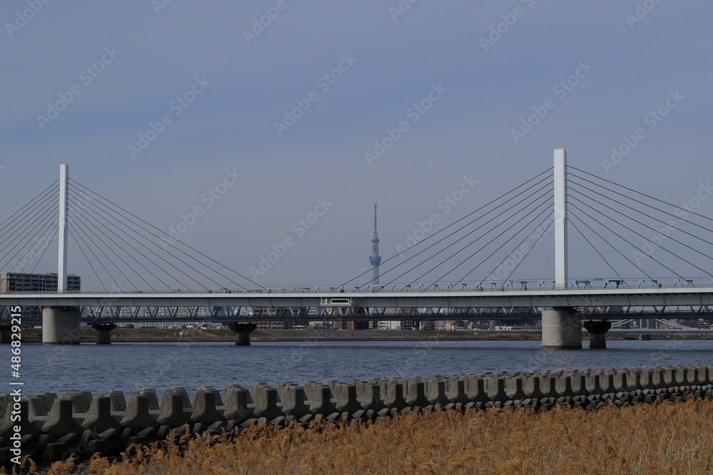 Fototapeta premium 日本 東京の風景