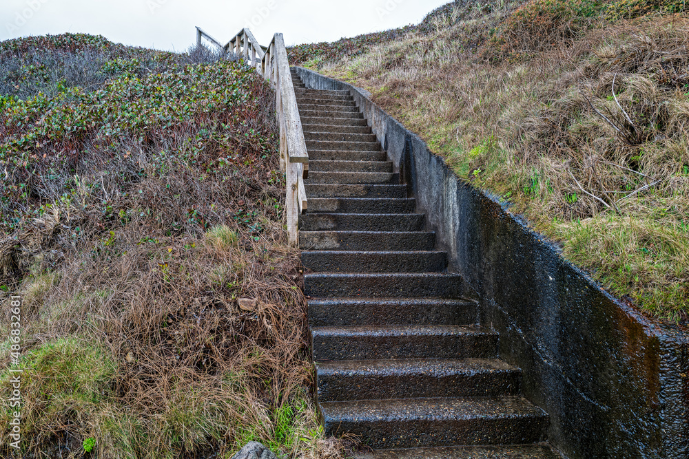 A concrete stairway on the Captain Cook Trail at Cape Perpetua State Park in Oregon, USA
