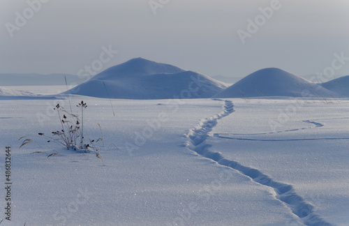 A trail through a snowy field and snowdrifts. Winter landscape.