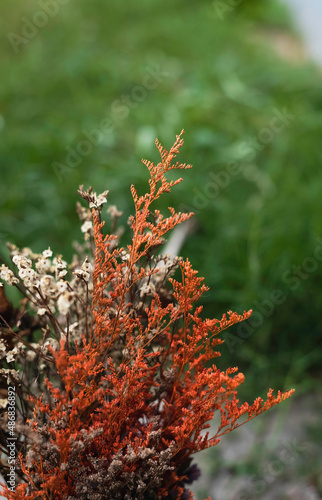 Dried flowers put on background