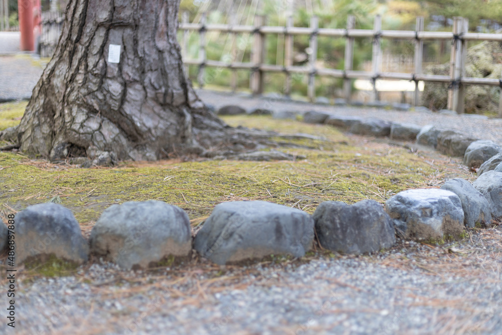 Fototapeta premium 冬の芦城公園の風景