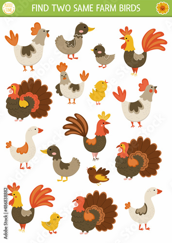 Find two same farm birds. On the farm matching activity for children. Rural village educational quiz worksheet for kids for attention skills. Simple printable game with cute hen, rooster, goose.