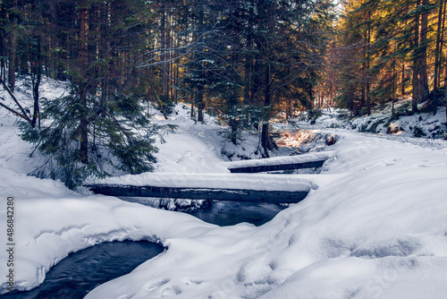Fototapeta Naklejka Na Ścianę i Meble -  .Beautiful winter landscape. Tree trunks covered with snow lying by the mountain stream. Mountain valley.winter.