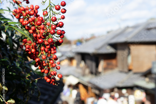 berry in kyoto
