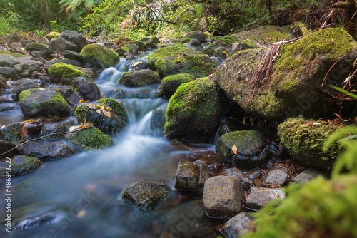 waterfall in the forest