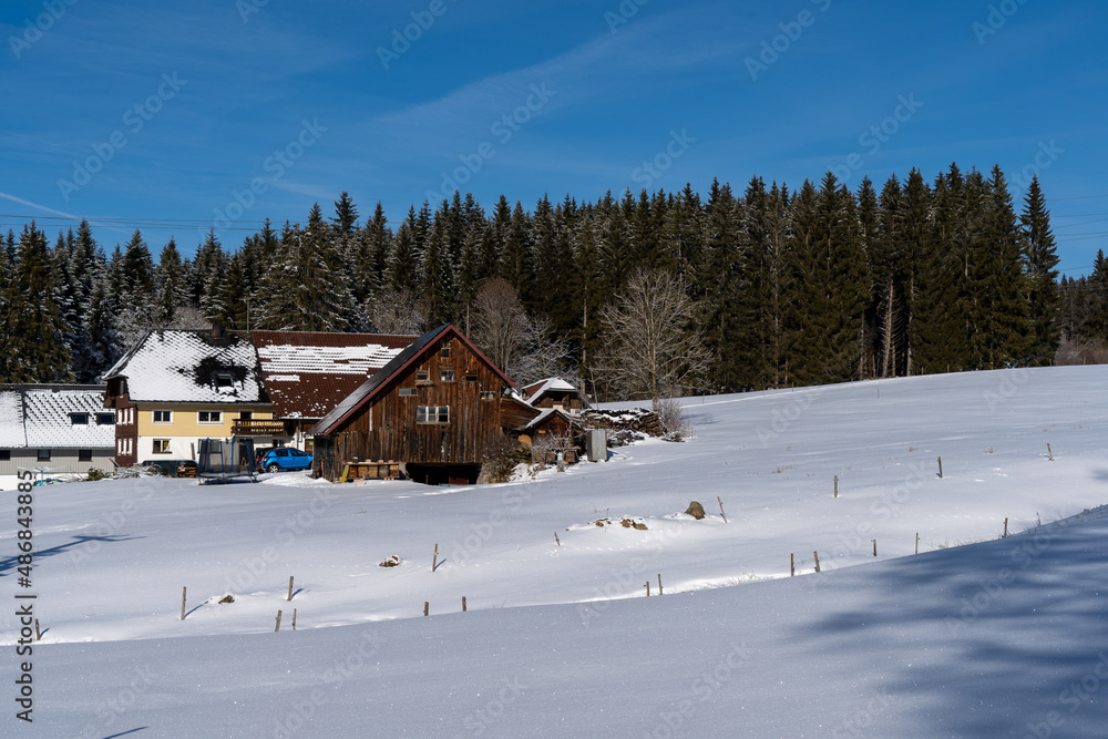 Im Schwarzwald beim Schluchsee