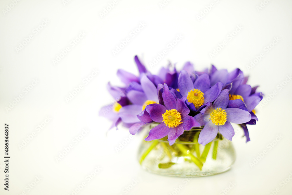 Bouquet of fresh spring flowers in a vase on table, snowdrops, purple violet blue bells, copy space Bouquet of fresh spring flowers in a vase on table, snowdrops, purple violet blue bells, copy space