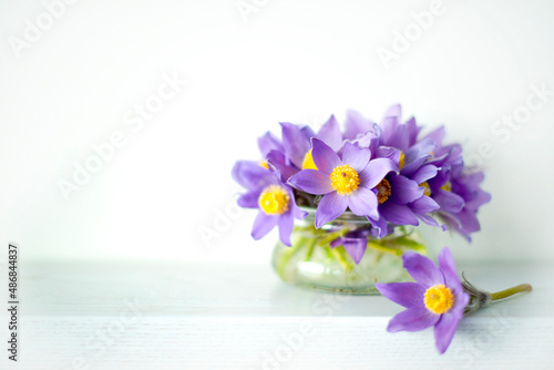 Bouquet spring violet flowers in vase. Primroses  Flowers sleepy grass  snowdrops  purple blue bells