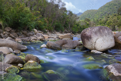 mountain river in the forest
