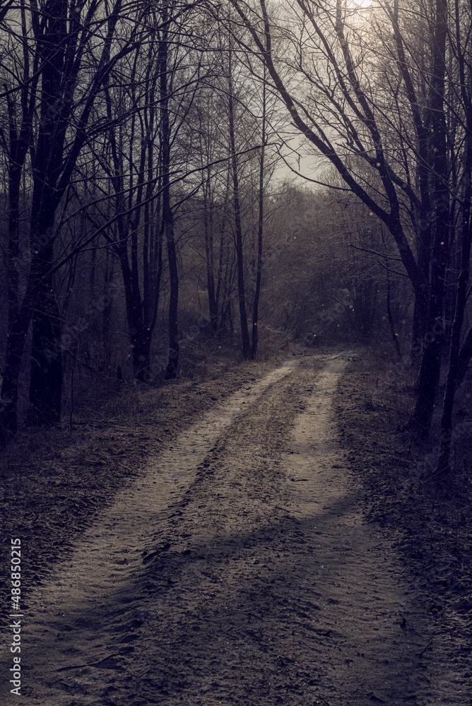 Fototapeta premium Eastern Poland - Biebrza National Park, wild Poland - Little Eastern Borderlands