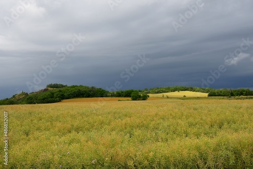 Champ de colza éclairé par un rayon de soleil avant l'arrivé de l'orage au loin avec un ciel noir et menaçant