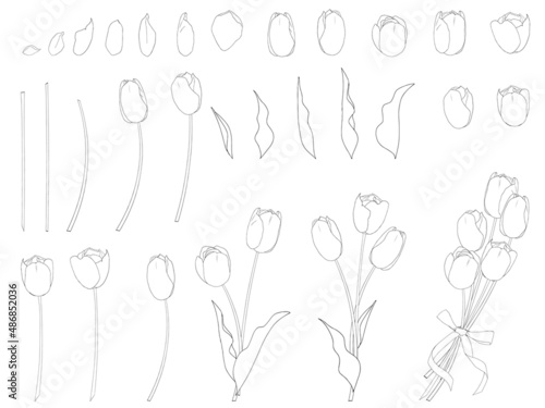 チューリップの花のセット_黒線画