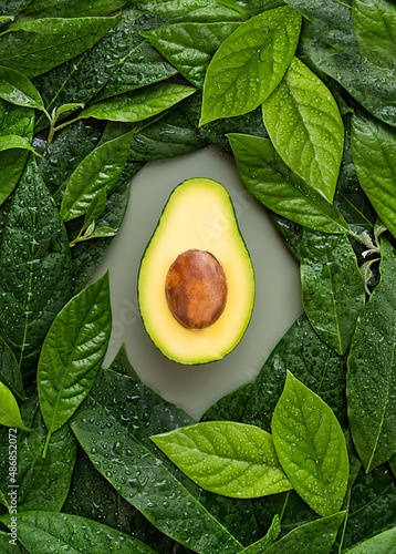 slice of ripe avocado surrounded by leaves, flat lay, top view