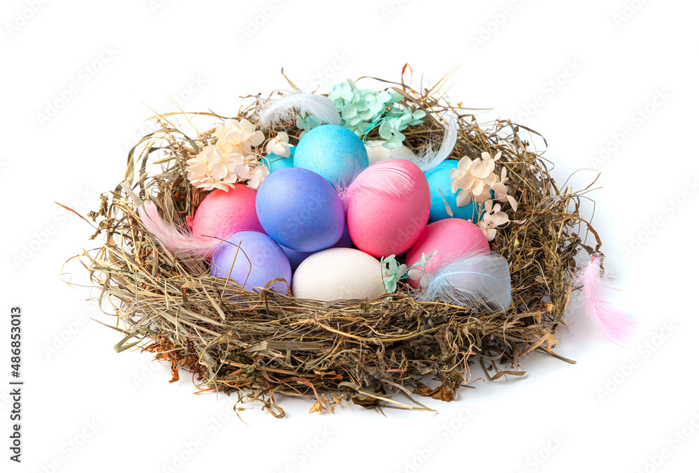 A large nest with colored Easter eggs in with feathers and flowers isolated on a white background. A large nest with colored Easter eggs in with feathers and flowers isolated on a white background.