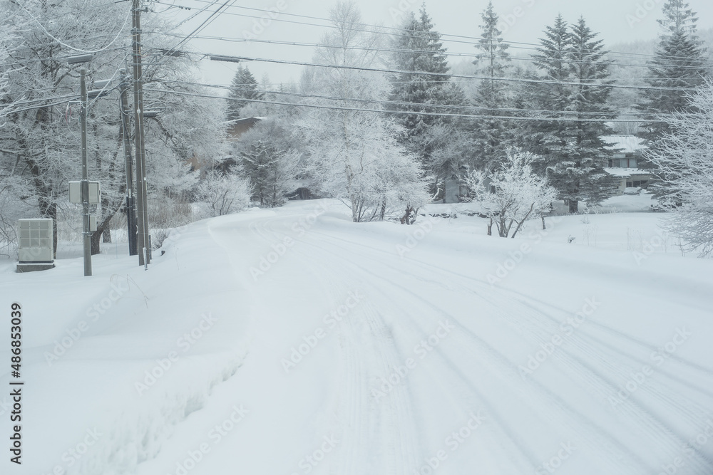 Obraz premium 雪が降り積もった道と電線