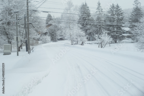 雪が降り積もった道と電線