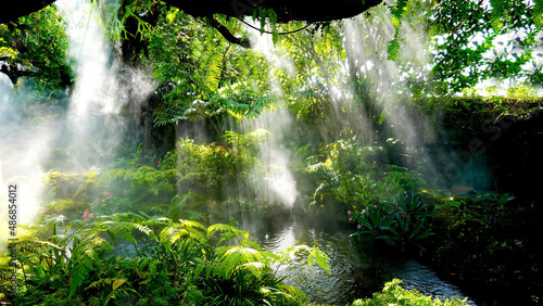 Fototapeta Naklejka Na Ścianę i Meble -   The Tropical jungle with river and sun beam and foggy in the garden.