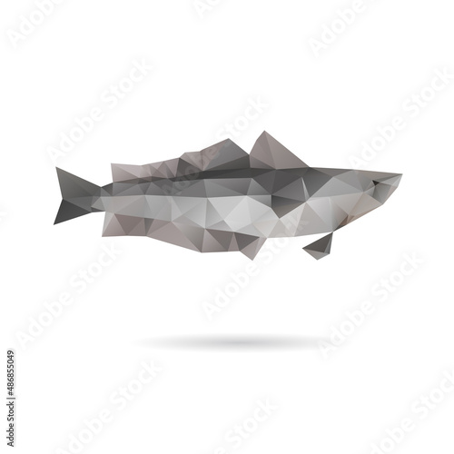 Abstract hake fish isolated on a white backgrounds
