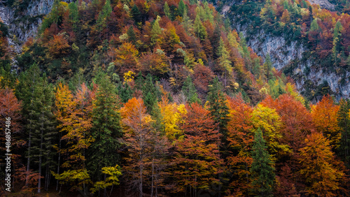 Herbstfarben in den Dolomiten Campanile di val montanaia Berge