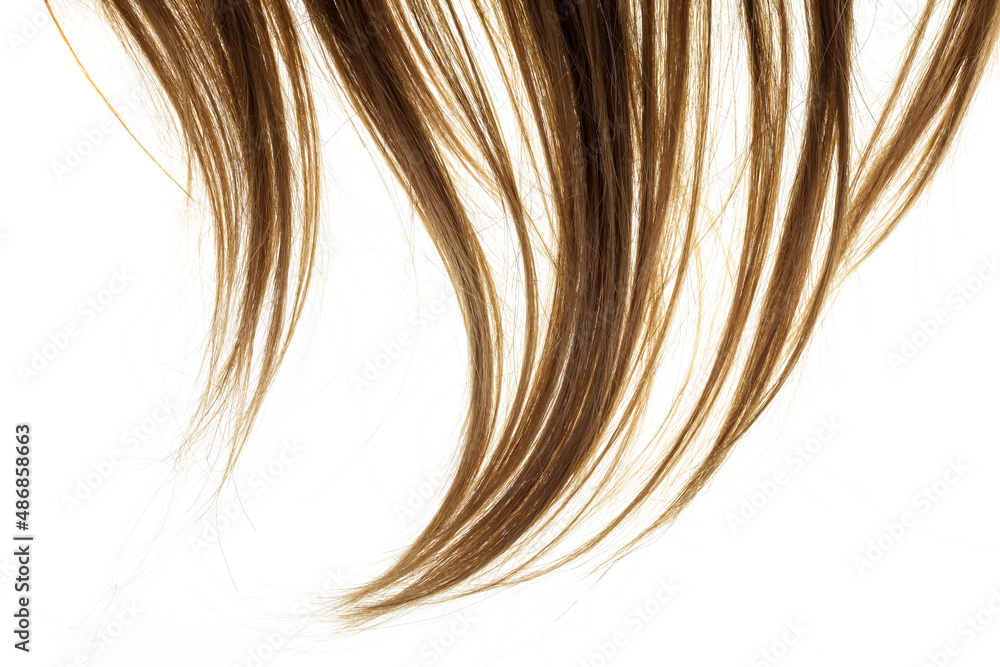 Healthy brown hair of a young woman on white background. Healthy brown hair of a young woman on white background.