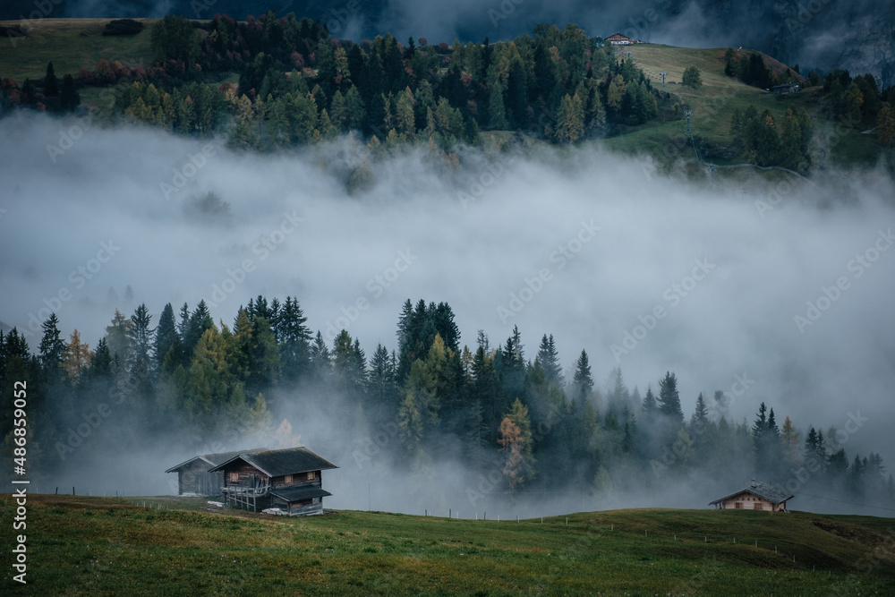 Fototapeta premium Seiser alm alpe di siusi nebel