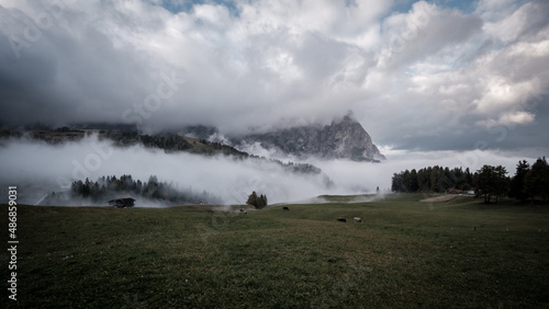 Seiser alm alpe di siusi nebel 