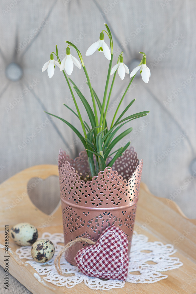 Schneeglöckchen in Vase als florale Dekoration Stock Photo | Adobe Stock