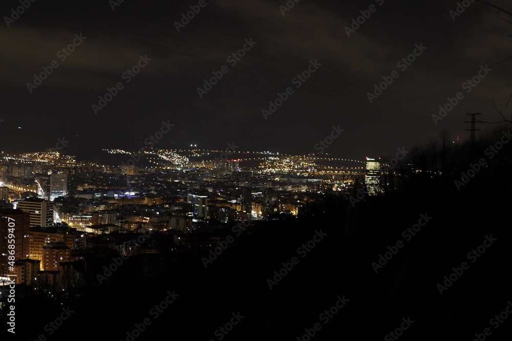 Bilbao seen from a hill at night