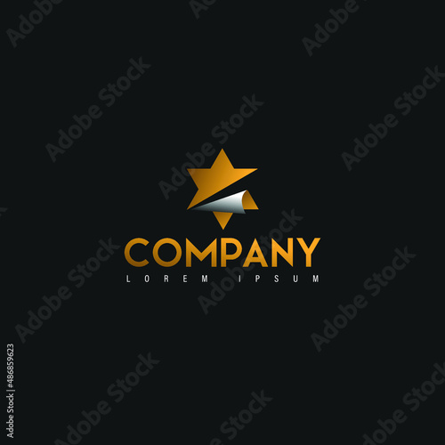 Star Logo Design Modern Vector Template. Star Logo. Vector Illustration