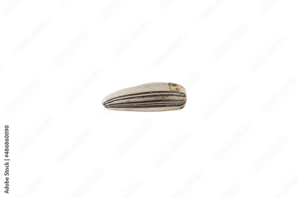 Sunflower seeds on white background. Sunflower seeds on white background.