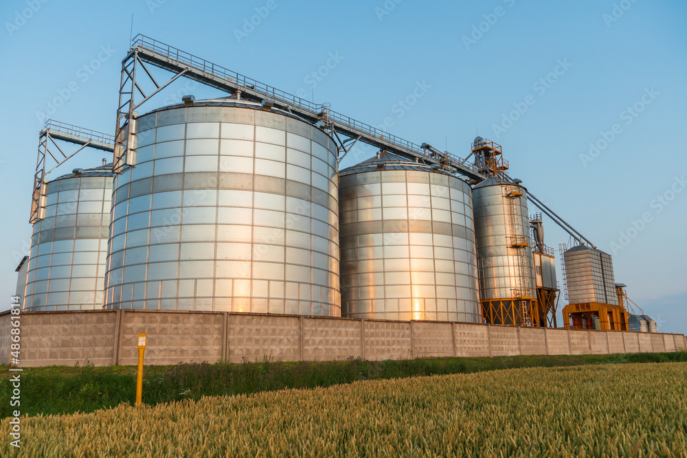 silver silos on agro manufacturing plant for processing drying cleaning and storage of agricultural products, flour, cereals and grain. Large iron barrels of grain. Granary elevator silver silos on agro manufacturing plant for processing drying cleaning and storage of agricultural products, flour, cereals and grain. Large iron barrels of grain. Granary elevator